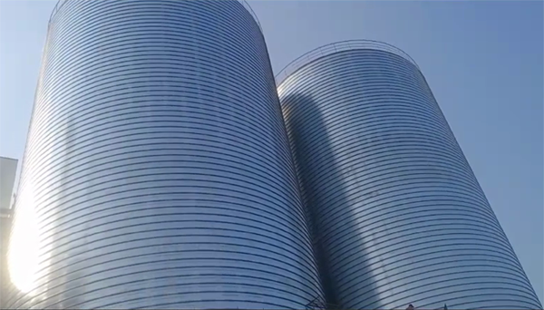 永嘉2座混凝土高架卷板仓